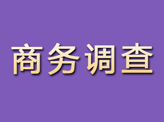 长子商务调查